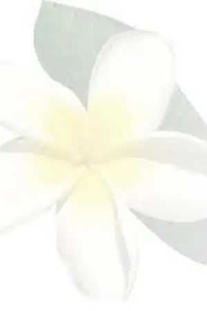 ปกนิยาย ชะตากรรมของฉัน