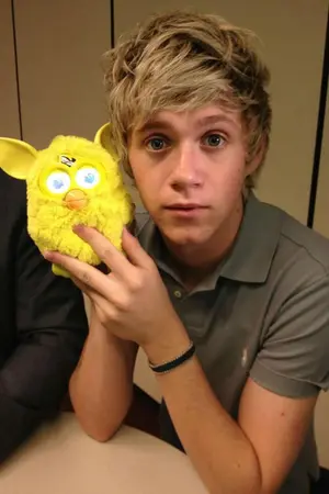 ปกนิยาย 1D fiction : NIALL HORAN