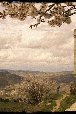 ปกนิยาย ◢◣ Fгαпçαiѕ ◥◤