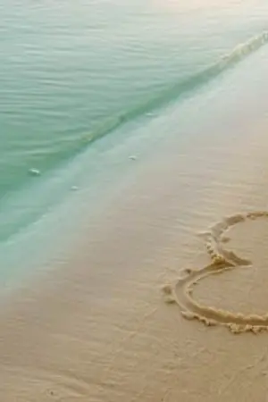 ปกนิยาย fic reborn แก๊งสาวซ่าปะทะแก๊งนายจอม(หื่น)กวน