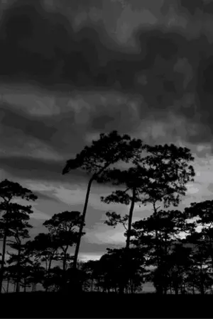 ปกนิยาย คำสาปรัตติกาล