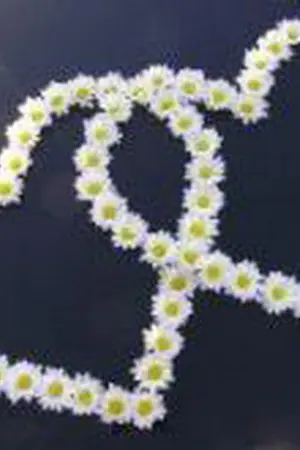 ปกนิยาย Summer Love สื่อรักโลกออนไลน์