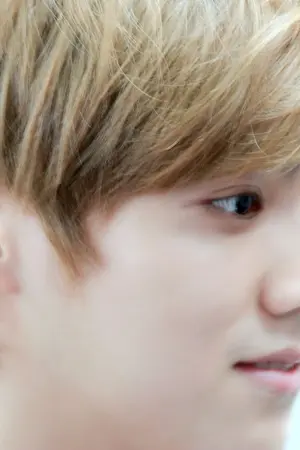 ปกนิยาย SF [All x Luhan] Project