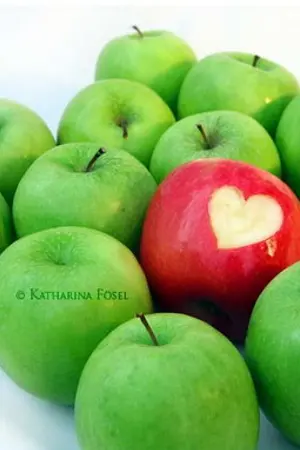 ปกนิยาย จับหัวใจใส่กระด้ง...อย่าหลงรักผมก็แล้วกัน