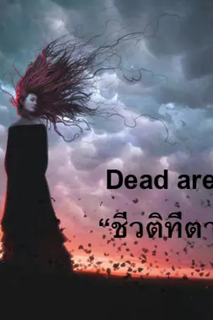 ปกนิยาย