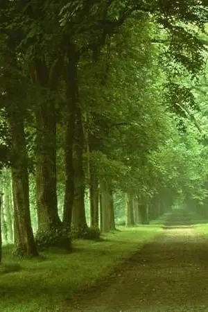 ปกนิยาย โลกหมุนรอบฉัน หรือฉันหมุนรอบโลก?(รวมความเรียง)