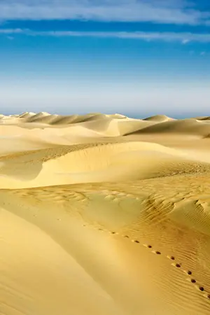 ปกนิยาย ณ เส้นทรายที่ปลายฟ้า