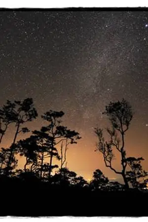 ปกนิยาย เก็บไว้เป็นที่ระลึก