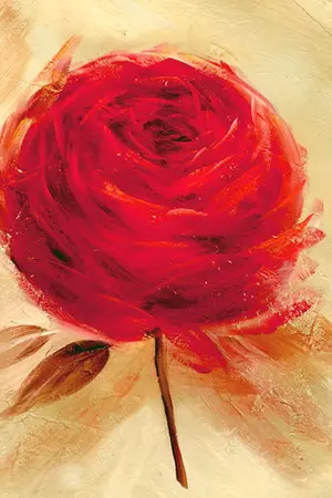 ปกนิยาย fic บารามอส rebirth