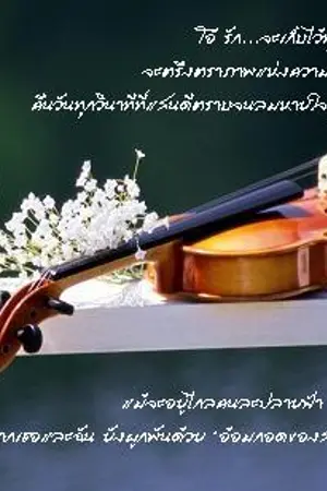 ปกนิยาย เพลงรักปาฏิหาริย์ Miracle of Love Song