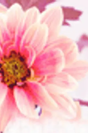 ปกนิยาย หนึ่งรักปาฏิหาริย์