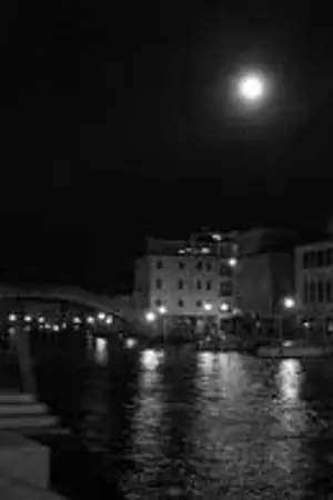 ปกนิยาย Monochrome Moon : เธอกับฉันใ้้ต้พระจันทร์ไร้สี