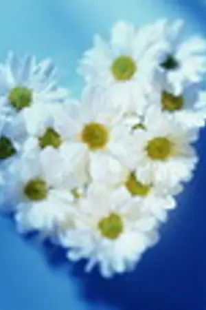 ปกนิยาย Only love with you