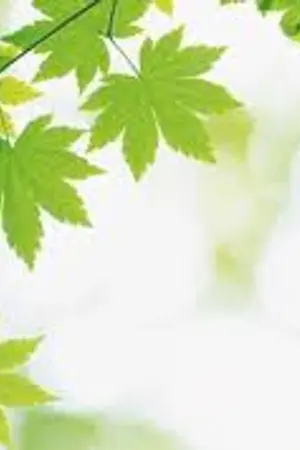 ปกนิยาย The Soul....ดนตรีรัก  จากหัวใจ ( Y )