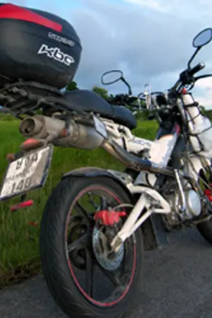 ปกนิยาย MadAss's Diary