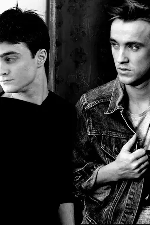 ปกนิยาย [FIC HARRY,HP/DM] My Precious Gift (YAOI)