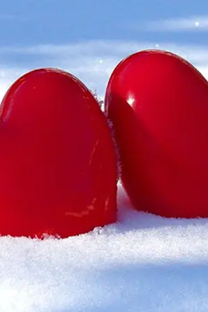 ปกนิยาย ++++รวมกลอนทุกรูปแบบ++++