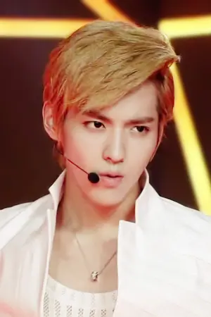 ปกนิยาย [FIC][EXO-KrisHan] ☣MADNESS ☣