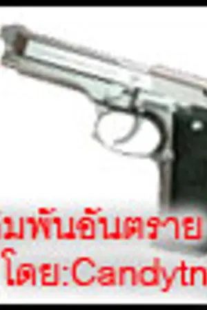 ปกนิยาย