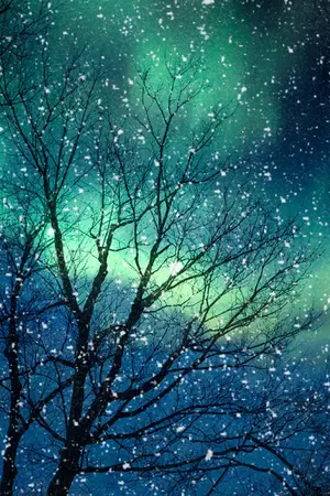 ปกนิยาย วิธีอ่านความฝัน