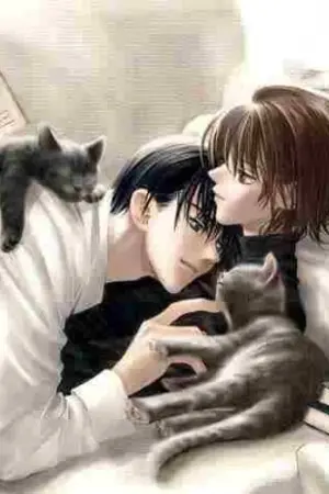 ปกนิยาย Love at SEOUL  [ Y ]