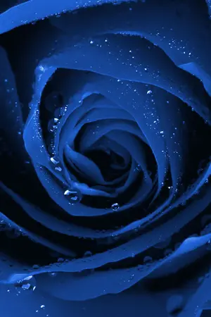 ปกนิยาย เสี่ยงรัก This love too risk.