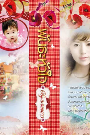 ปกนิยาย