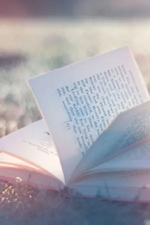 ปกนิยาย Chrno