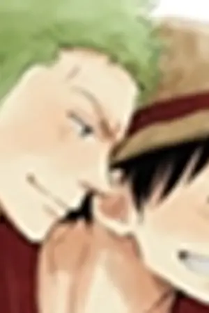 ปกนิยาย ONE PIECE {ZOROXLUFFY} yaoi