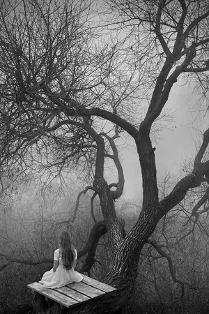 ปกนิยาย คำทำนายแห่ง six sense