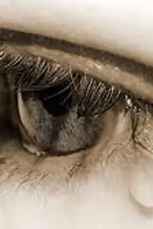 ปกนิยาย Aranesia