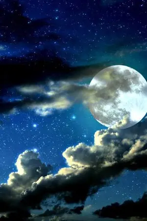 ปกนิยาย ~MoonLight Serenade~