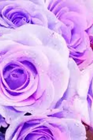 ปกนิยาย หนึ่งฤทัย หนึ่งเดียวในดวงใจ (ขออนุญาตลบเนื้อหานะคะ)