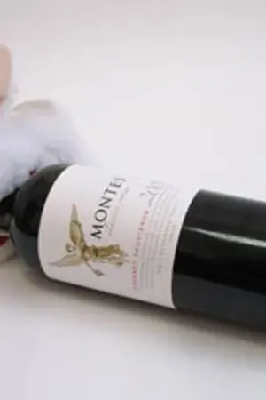 ปกนิยาย [SJ] ::The Curious Case of Bunny, Lucky, and Wine:: (KyuMin)