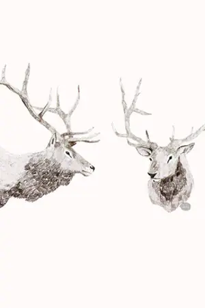 ปกนิยาย EXO - WICKED DRAMA (KAIHUN LUMIN / KRIS YEOL HAN)