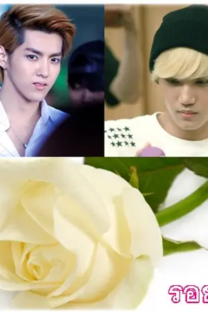 ปกนิยาย FIC ร้ายก็รัก KrisKai LuBaek LuHun EXO