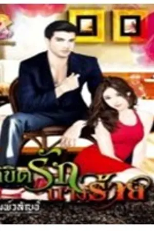 ปกนิยาย ลิขิตรักนางร้าย