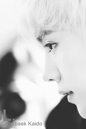 ปกนิยาย [FICEXO] Resist love | KrisHan Chanbaek