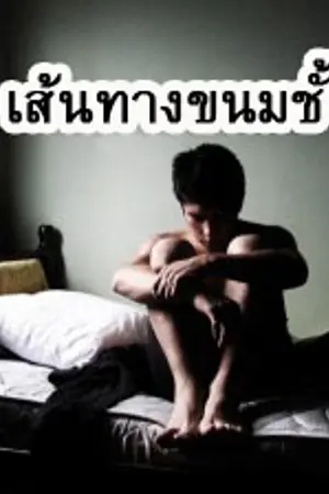 ปกนิยาย