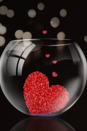 ปกนิยาย [Fic BoyFriend] Once Upon A Heart