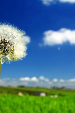 ปกนิยาย รอรัก...