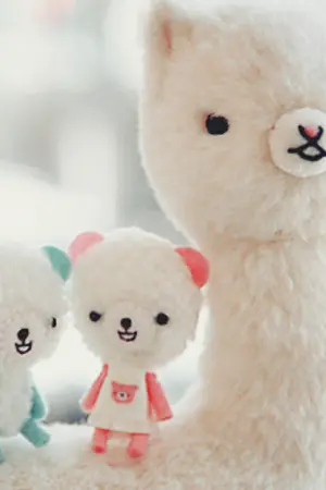 ปกนิยาย RIGHT is WRONG พนันกันมั้ยว่านายจะรักฉัน