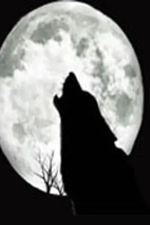 ปกนิยาย That Wolf...it's me {fic exo}