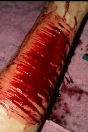 ปกนิยาย โรงเรียนหลอนซ่อนมรณะ (blood of school)