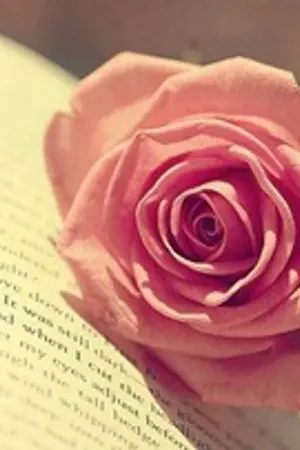 ปกนิยาย เล่ห์ร้าย วางแผนรัก