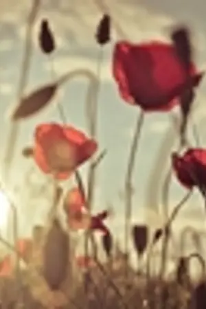 ปกนิยาย [EXO]-[KaiBaek] :: ตุ๊กตาต้องสาป :: The Cursed dolls."