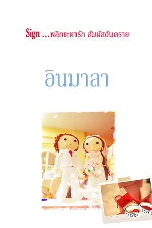 ปกนิยาย