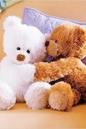 ปกนิยาย ต่างรัก