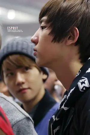 ปกนิยาย EXO [CHANBAEK]  CONFUSSION