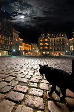 ปกนิยาย -000-